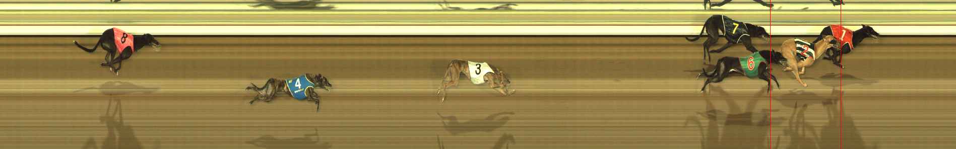 Race result finish photo